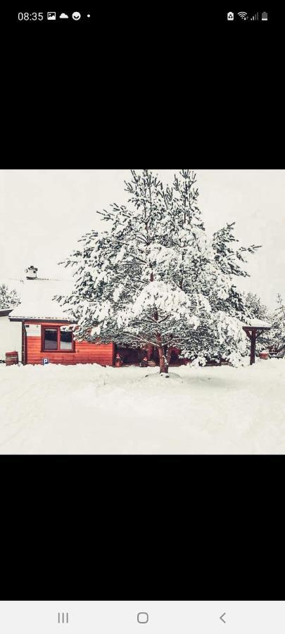 Farmstay Marianowka U Tesi Giby Esterno foto